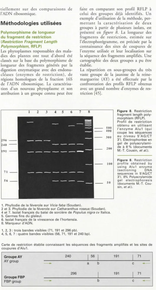 Figure  8.  Restri ction 