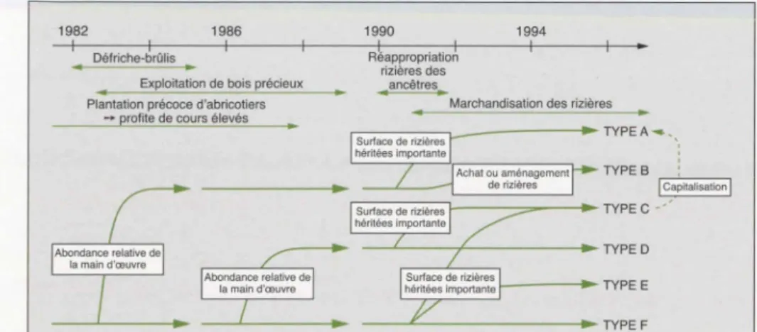Figure  10.  Pro cess us  de  différenciation  des  systèmes  de  production  et  t ypol ogie  actuelle 