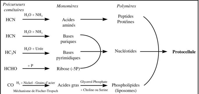 Figure 1-12 : Synthèses prébiotiques à partir de molécules prébiotiques (adapté de Oro and