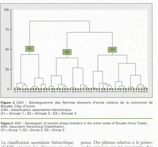 Figure  2.  CAH  - Dendogramme  des  femmes  éleveurs  d'ovins  urbains  de  la  commune  de 