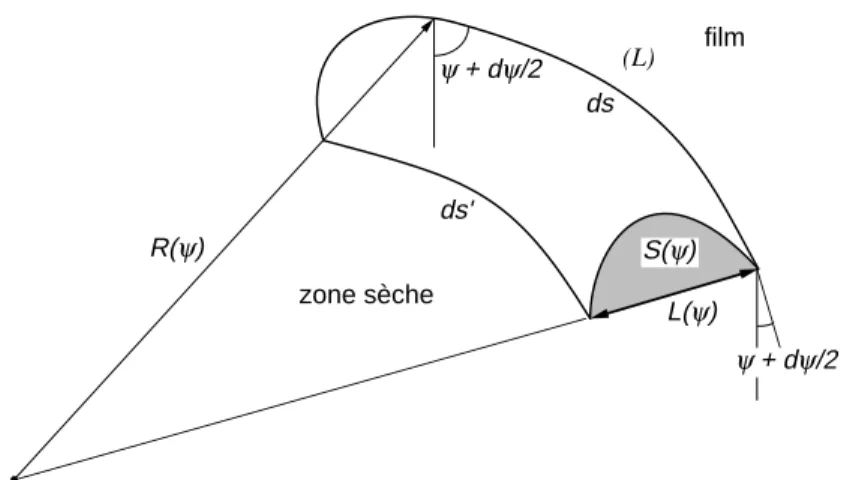 Fig. 4.2 – El´ement de bourrelet consid´er´e dans la mod´elisation. - notations.