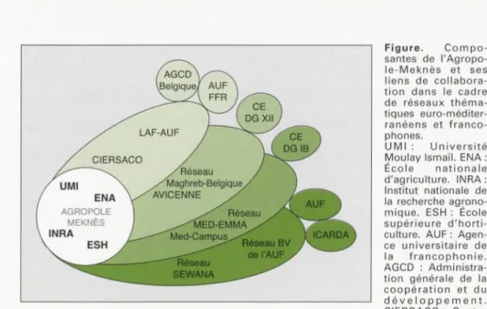Figure .  Components  of  Agropole -Meknès  and  cooperative  links within  Euro-Mediterranean  and  French- French-speaking  shared  networks
