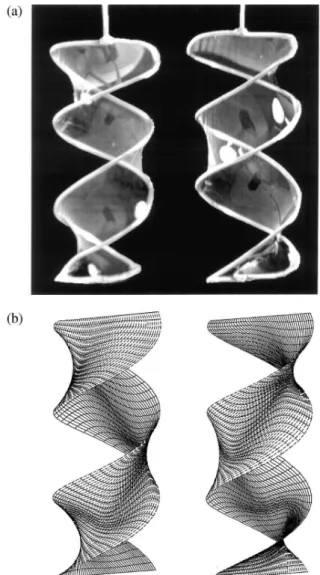 FIG. 3. The two ribbon surfaces for an aspect ratio HD 苷 2 and a winding number f 0 p 苷 3.
