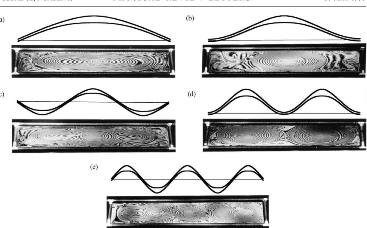 FIG. 1. The interference patterns observed on the soap ﬁlms at increasing frequencies and the theoretical longitudinal cross section obtained from the model [Eq