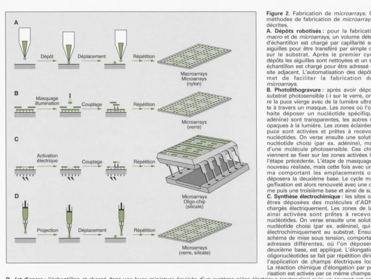 Figure  2.  Fabrication  de  microarrays.  Quatre 