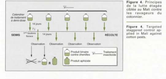 Figure  5 .  Strat é gie 