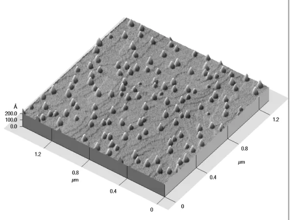 Figure 2.1.2: Image AFM d'un plan d'^lots d'InAs realisee par J. M. Moison au CNET a Bagneux.