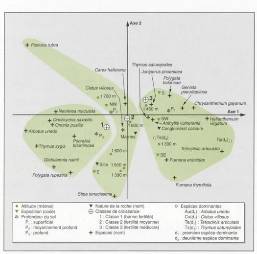 Figure 4 .  Analyse  factorielle  des  correspondances  entre  espèces  et  classes  des  descripteurs du  milieu 