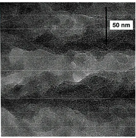 Fig. 1.9 – Vue transverse de microscopie ´electronique (haute r´esolution) d’un ´echantillon de silicium m´esoporeux de type P + 