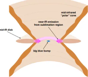 Figure 1.3: AGN infrared emission in a model with : a geometrically-thin disk in the accretion disk plane (light brown) and an outflow of dust in the form of a hollow cone towards the polar region (dark brown)