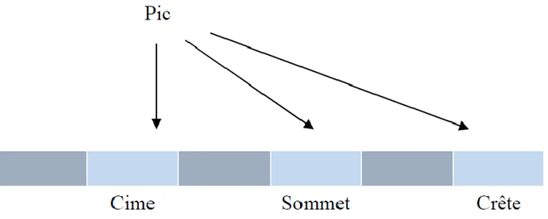 Figure I.8 : La représentation conceptuelle du mot « pic ». 
