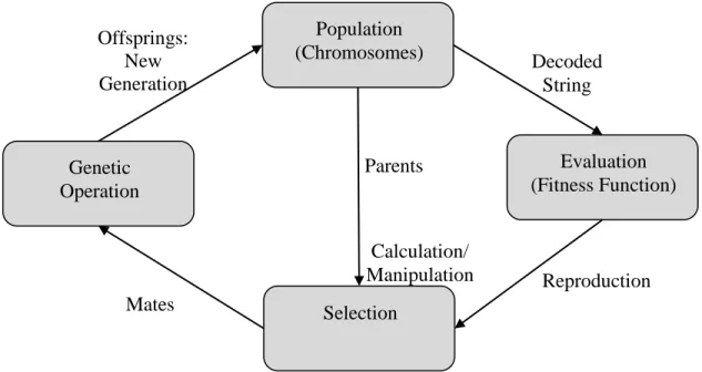 Figure 2.2:  Genetic algorithm cycle. 