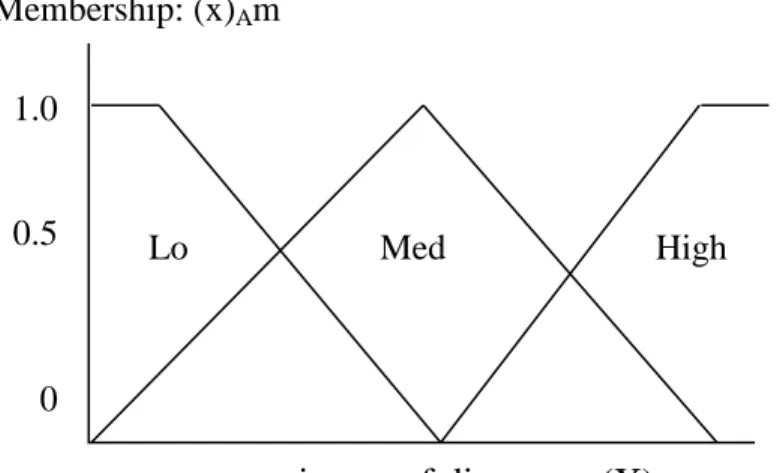 Figure 2.4: A basic fuzzy set. 