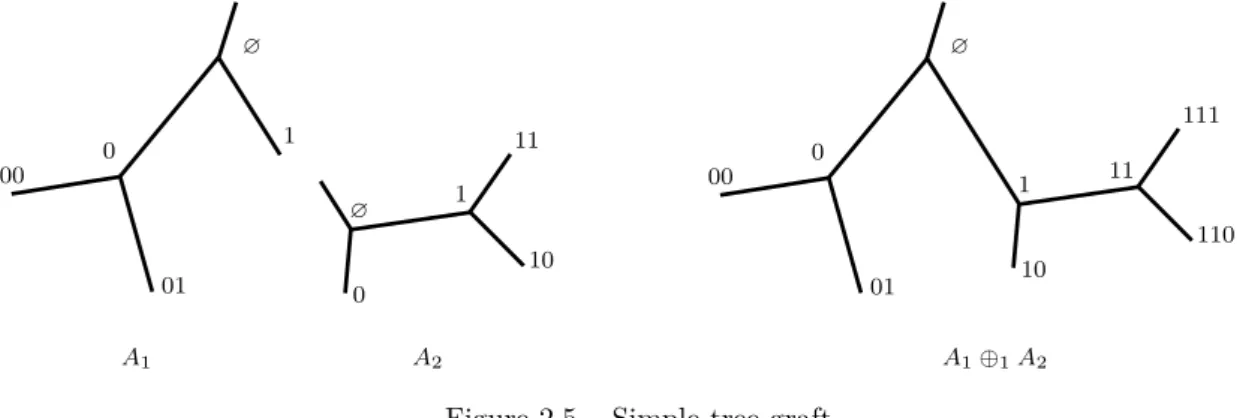 Figure 2.5 – Simple tree graft