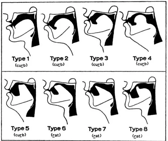 Figure 1.3 Les configurations linguales des /r/ en anglais britannique (type 1 et 8) et en anglais américain (type 2 