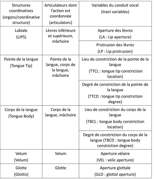 Tableau 3.1 Les structures coordinatives, les articulateurs et les variables du conduit vocal, basé sur Fougeron  (2005)