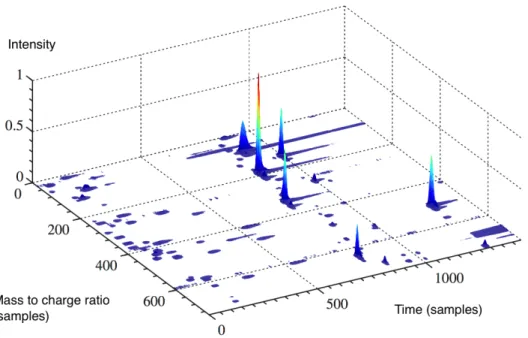 Figure II.1 – Example of LC/MS data. Figure taken from [Rapin 2014].