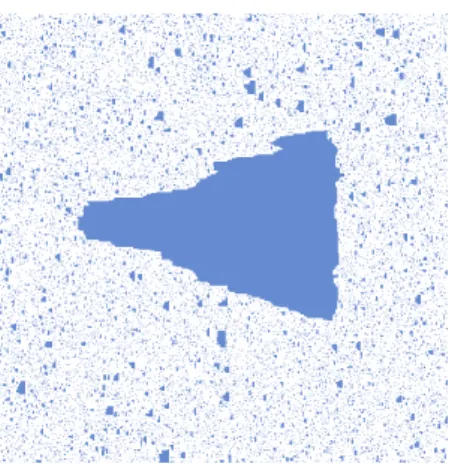 Figure 2.1: A growing droplet under the Duarte bootstrap process (courtesy of P. Smith).