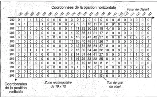 Figure  1.  Matrice  présentant  les  valeurs  de  tons  de  gris  des  pixels  formant  l’image  numérisée  d’un  trichogramme