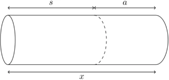 Figure 1.1 – schematic representation of the variables on an E. coli bacterium.