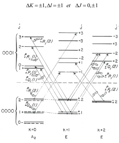 Figure 1.9 : Transition de vibration-rotation dans une bande perpendiculaire de NH 3 .