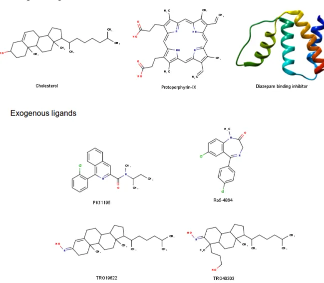 Figure 1.16 . Exogenous and Endogenous ligands of TSPO. Ligands were drawn using Marvin     Chemdraw program