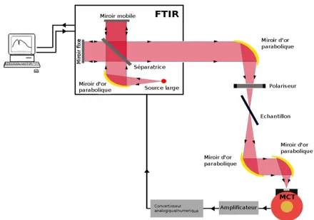 Figure 1.21 – Schéma du montage expérimental permettant la mesure du spectre de transmis- transmis-sion à l’angle de Brewster.