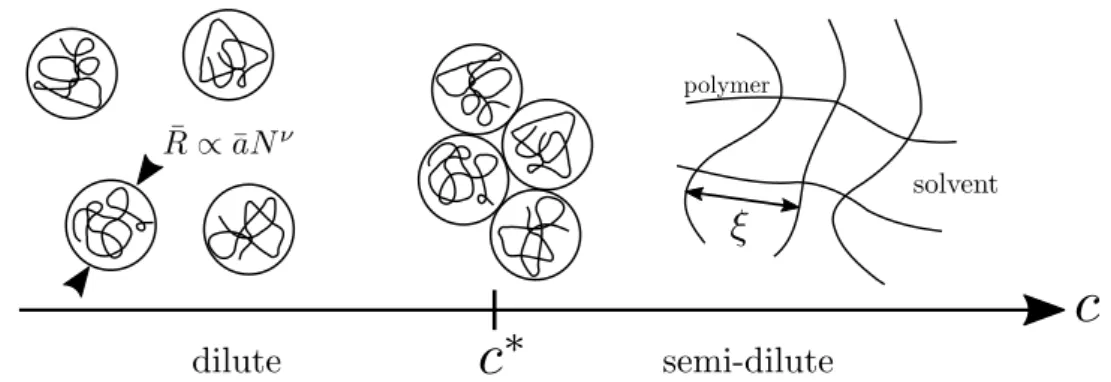 Figure 2.10 – Boundary between the dilute and semidilute regime for polymer solutions