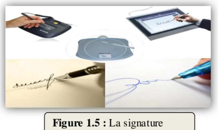 Figure 1.5 : La signature 
