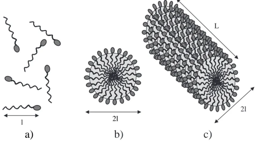 Fig. 1.2: a)Molécules de tensioactif dispersées. b)Micelle sphérique. c)Micelle cylindrique