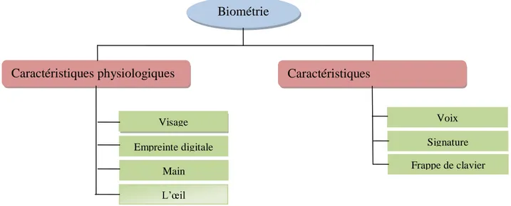 Figure 1.2 : La Classification De La Biométrie [7]. 