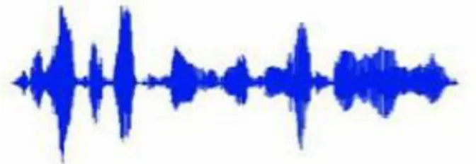 Figure 1.8 : Modalité de signature  Figure 1.7 : Spectre d’un signal voix 