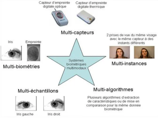 Figure 2.2 : Les différents systèmes multimodaux  [23]. 