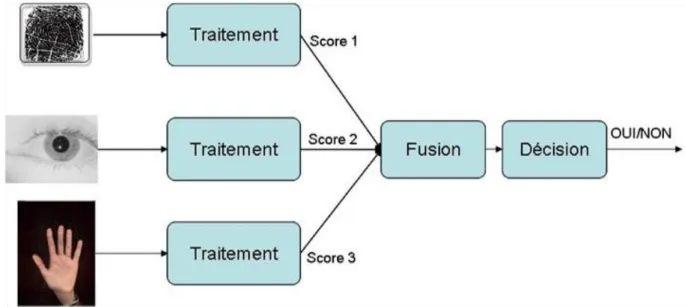 Figure 2.3 : Architecture de fusion en série  [23].  Figure 2.2 : Architecture de fusion en parallèle  [23]