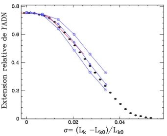 FIG. 2.11 – Simulation numériques des courbes extension-rotation et comparaison aux résultats expérimentaux