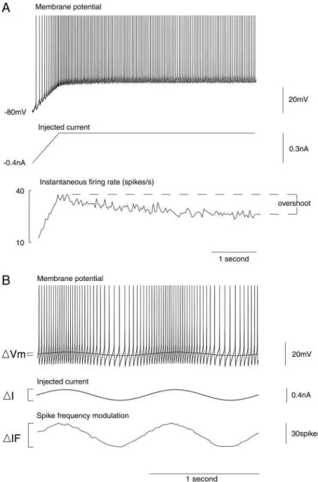 FIG . 1. Methods used to measure the firing rate responses of medial vestibular nucleus neurons (MVNn) to ramplike or sinusoidal current injection
