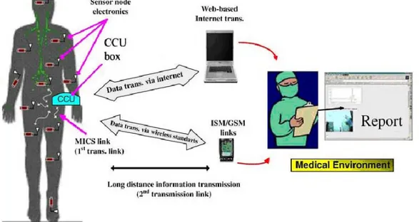 Figure 1.5 Object tracking: medical application.