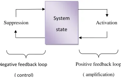 Figure 2.2 Positive and Negative feedback used for behavior control of autonomous systems [20].