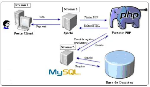 Figure III-3: Modèle client-serveur 