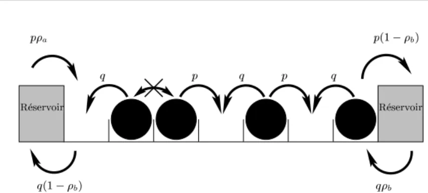 Fig. 4.1: Processus d’exclusion simple en contact avec deux réservoirs de densité ρ a et ρ b