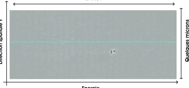 Fig. 2.1.8 – Image CCD de l’´emission de deux boˆıtes quantiques isol´ees spectra- spectra-lement vers 1.38 eV.
