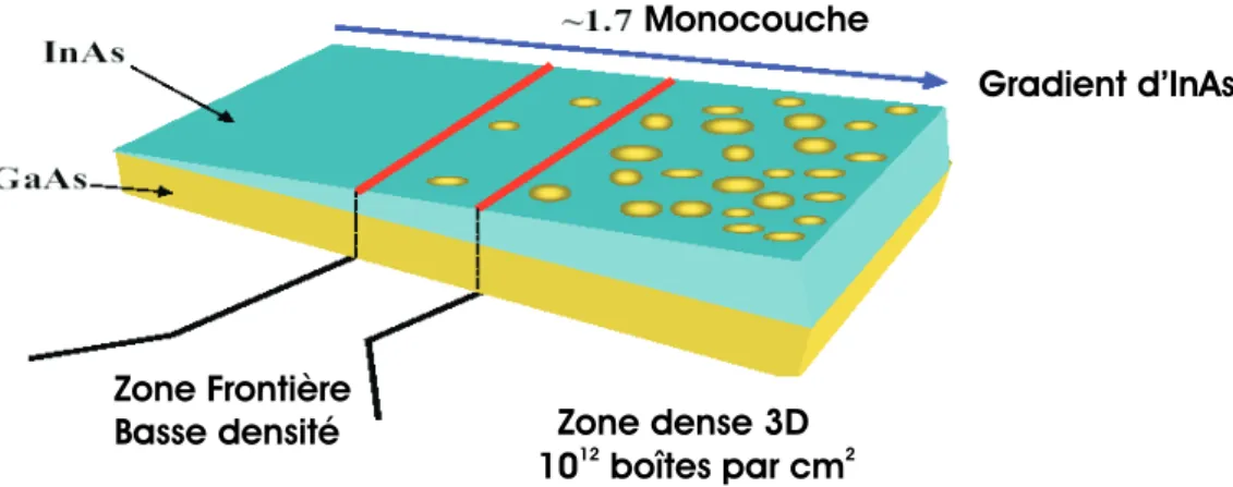 Fig. 2.2.13 – Wafer `a gradient d’´epaisseur d’InAs. Le passage est continu entre une zone sans boˆıtes quantiques et une zone `a forte densit´e de boˆıtes