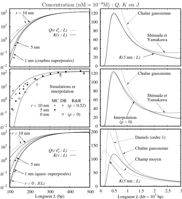 Fig. 4.4 – Calcul num´erique du facteur de cyclisation J par sa distribution en ex- ex-tension (directement Q ou par le rapport K)