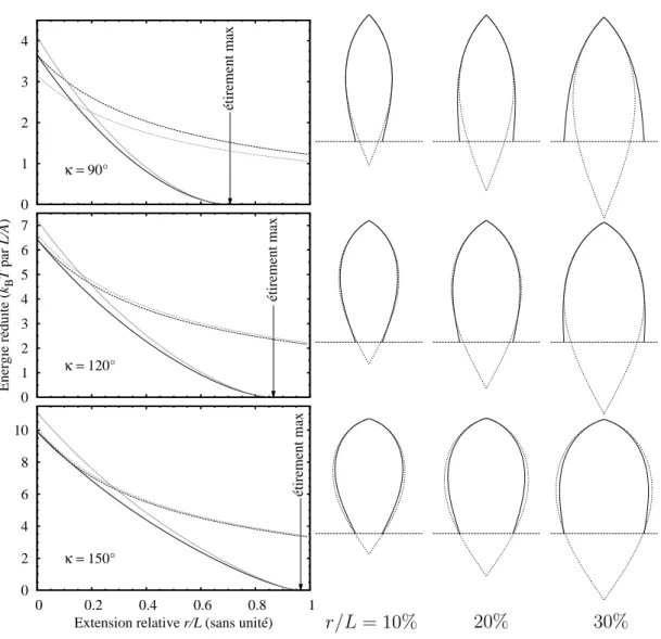 Fig. 5.3 – Droite : le point col de longueur L, d’extension r et de cas-