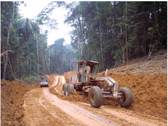 Fig. 17 : Niveleuse au travail sur une nouvelle route forestière au Gabon (Photo JM Roda) 