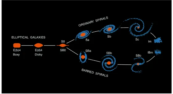 Fig. 1.1 – Classification de Hubble des galaxies locales. De gauche `a droite : galaxies elliptiques (boxy puis disky) E, lenticulaires S0, spirales normales (branche du haut) et barr´ees (branche du bas) et galaxies irr´eguli`eres de type mag´ellaniques (