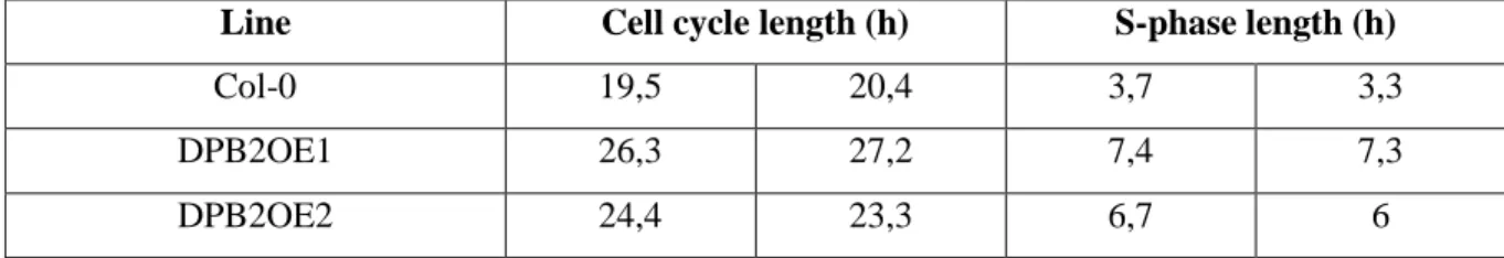 Table I: Cell cycle length is increased in DPB2OE lines. 