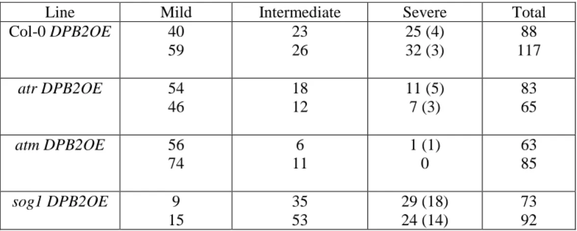 Table III: Distribution of DPB2OE T1 plants in the mild, intermediate and severe phenotypic  classes in the wild-type (Col-0) and DDR mutant backgrounds