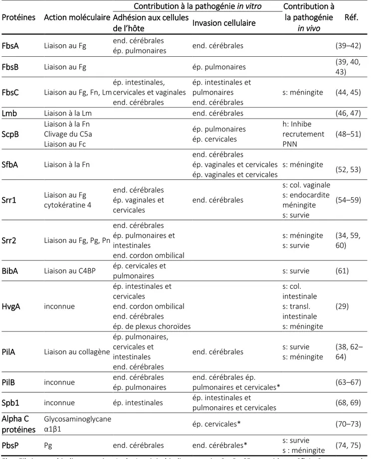 Tableau 1. Principales protéines de surface de SGB intervenant dans la pathogénie 