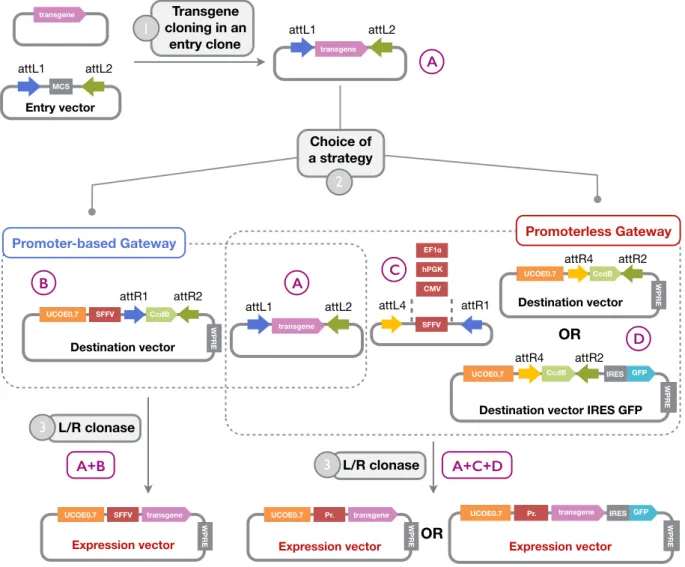 Figure	11.	Homemade	Gateway	based	len7viral	plakorm.	